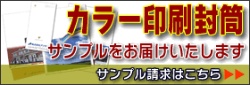 �J���[��������̃T���v�������͂��������܂�
